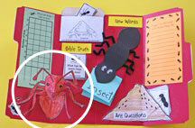 Clique na imagem para uma verso maior

Nome:	         lapbookformiga.jpg
Visualizaes:	29
Tamanho: 	13,3 KB
ID:      	23156